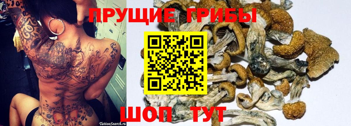 Галлюциногенные грибы Psilocybe  Вход с VPN  наркота  Протвино  Псилоцибиновые грибы мицелий 
